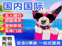 南京禄口机场快递国际宠物托运 【国